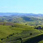 Il Felcino Farm stay Fabro