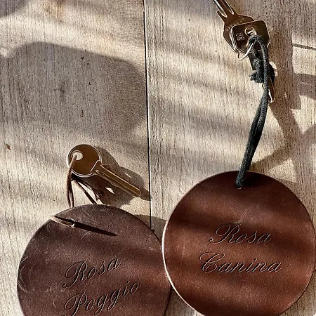 Il Felcino 팜스테이 파브로