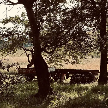 Alloggio per agriturismo Il Felcino Fabro