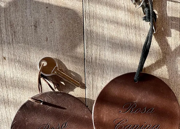 Il Felcino 农家乐 法布罗