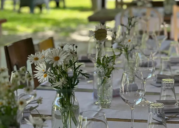 Il Felcino 法布罗