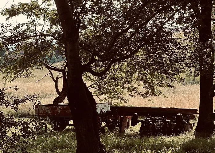 农家乐 Il Felcino 法布罗