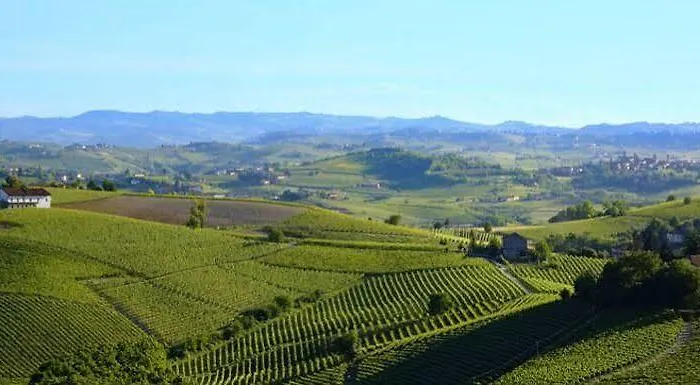 Il Felcino Farm stay Fabro